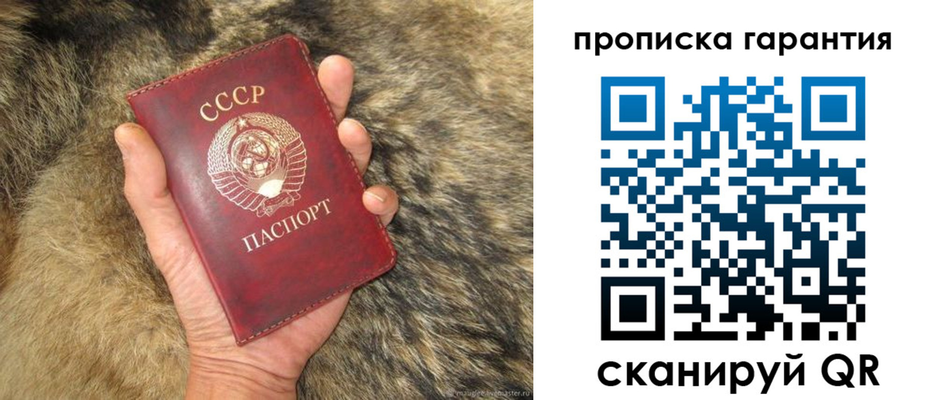 прописка паспорт в Новом Осколе